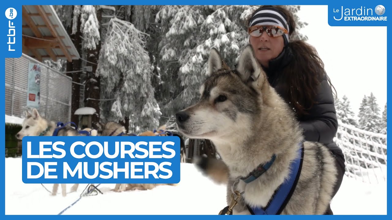 Courses de Mushers au coeur des Alpes - Le Jardin Extraordinaire