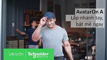 Công tắc ổ cắm AvatarOn A | Schneider Electric