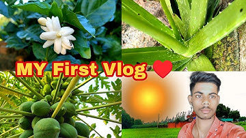 MY First Vlog ||♥️ #myfirstvlog #my_first_vlog #my_first_vlog_on_youtube #my