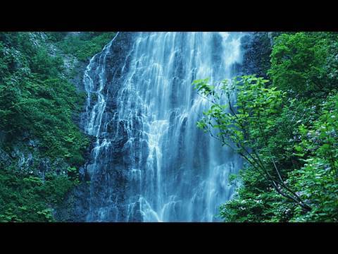 世界遺産 白神山地 Shirakami Sanchi World Heritage Shot On Red One Youtube