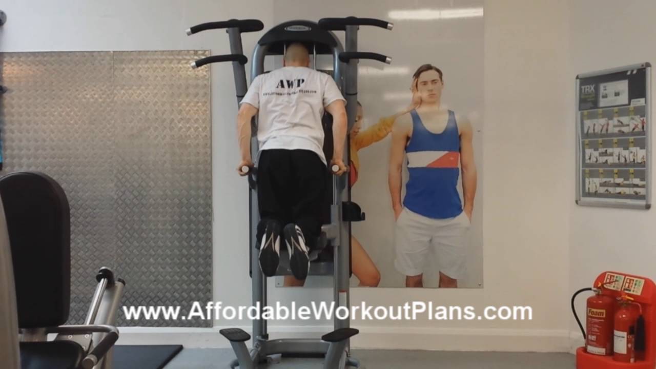 exercise 14.1 class 11 Assisted Dips (chest exercise)