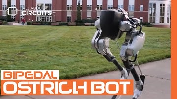 Bipedal Ostrich Bot