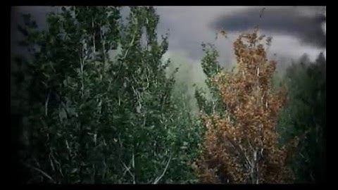 Another try with Speedtree