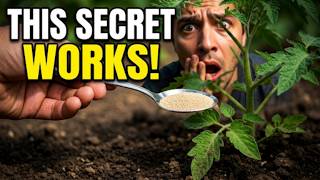 Feed Plants With Baking Soda And Yeast For Insane Growth.