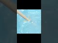刺したら抜けないつまようじを作ってみた