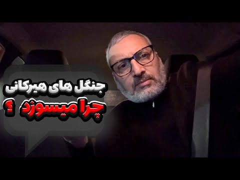 جنگل های هیرکانی شمال ایران جنگل های شمال در آتشسوزی دلیل آتش گرفتن جنگل های شمال و هیرکانی
