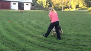 Teaching directed retrieve