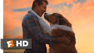 A Dog's Journey (2019) - All Dogs Go to Heaven Scene (10/10) | Movieclips