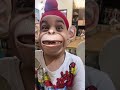 Yaar Maza Aa Gaya RS 1313 SHORTS Ramneek Singh 1313 RS 1313 VLOGS Shorts Yaar Maza Aa Gaya RS 1313 SHORTS Ramneek Singh 1313 RS 1313 VLOGS Shorts