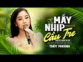 Mấy Nhịp Cầu Tre - Thúy Phượng | Bài Hát Trữ Tình Dân Ca Quê Hương Miền Tây Ngọt Ngào