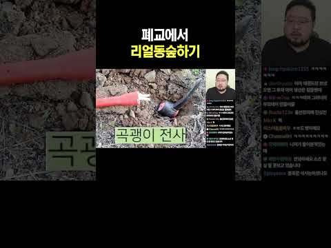 폐교에서 리얼동숲하기
