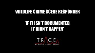Wildlife Crime Scene Investigation - 'If it isn't documented it didn't happen'