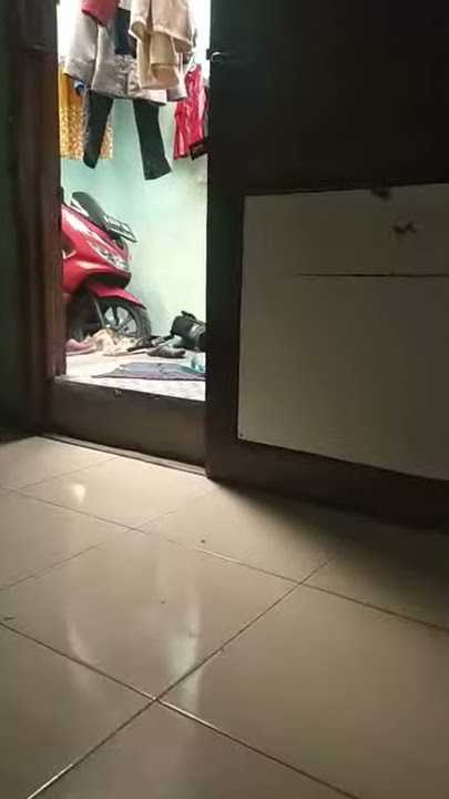 Petir badai