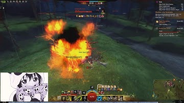 Gw2 Druid (aids) roaming - High quality fights