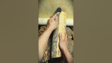 a simple smart tool that is very useful for peeling tree bark #shorts