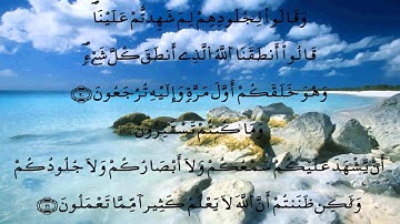 سورة فصلت * الدوكالي * قالون