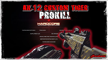 Contract Wars - AK12 CustomTiger PROKILL (HardCore)