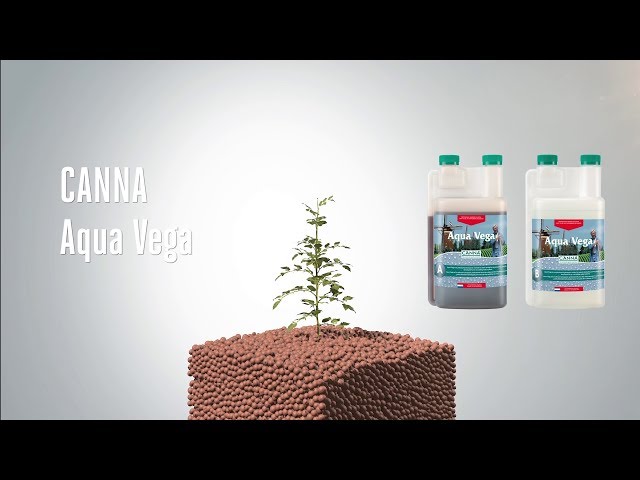 Watch (Français) CANNA Aqua Vega on YouTube.