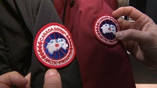 Mode Canada Goose : très chères doudounes