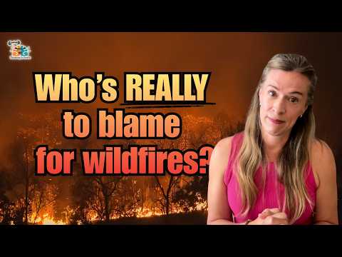 Who's REALLY to blame for wildfires? Fire ecology explained in under six minutes