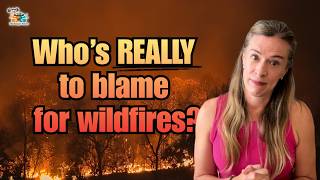 Who's REALLY to blame for wildfires Fire ecology explained in under six minutes