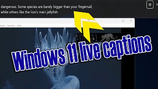 How to Use Live Captions in Windows 11