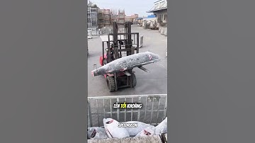 Dỡ cá ngừ! 🐟 #fish #toptrending