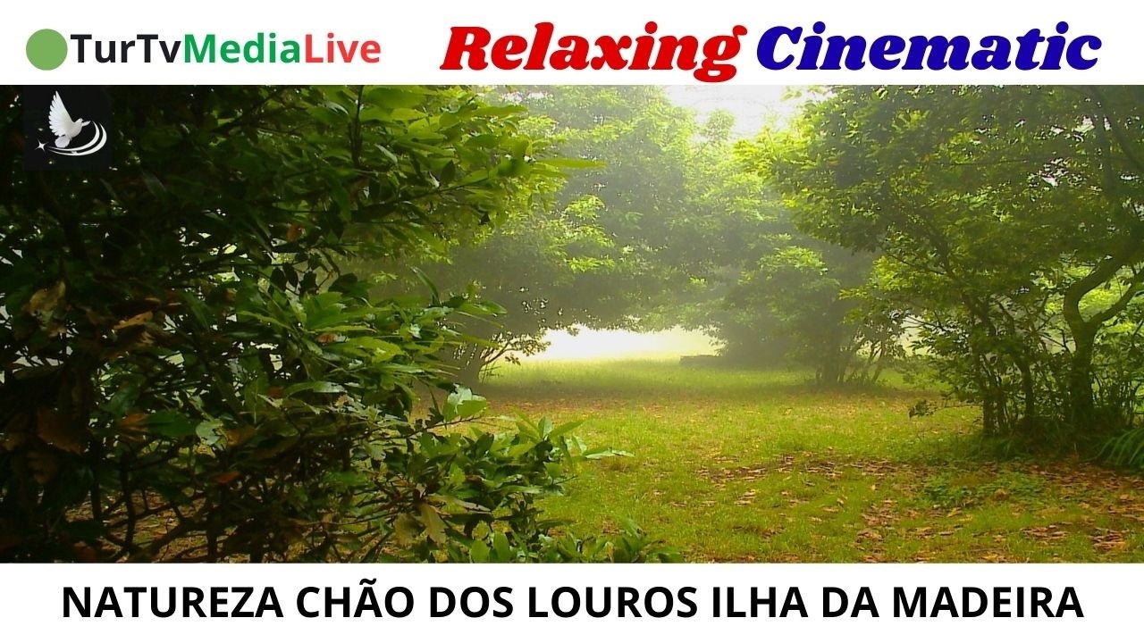 🟢Chão dos Louros Madeira Island - CINEMA RESOLUTION🟢