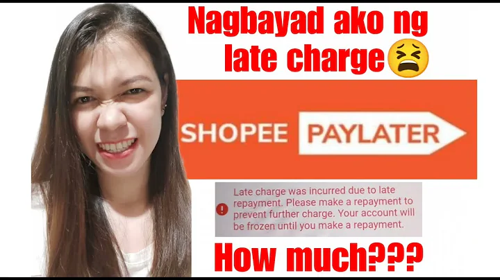 How much is the penalty of PayLater? (2023)