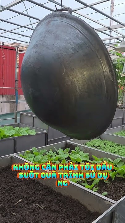 youtube.com