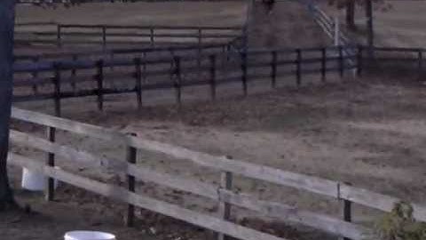 December 9, 2012 3:42 PM