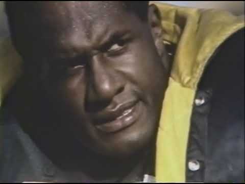Distant Replay - 1966 Green Bay Packers