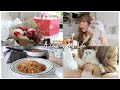 A DAY IN MY LIFE w/ yuri 🐱🎂 BIRTHDAY VLOG | Erna Limdaugh