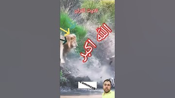 #القران_الكريم #تلاوه_خاشعه  قال ربي إني ظلمت نفسي للشيخ محمود الشحات أنور #foryou #اكسبلور