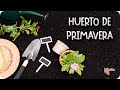 Como Planificar La Huerta De Primavera Para Cultivos De Éxito || La Huertina De Toni