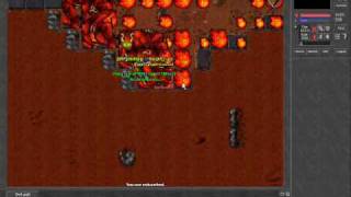 Typhera Open Tibia