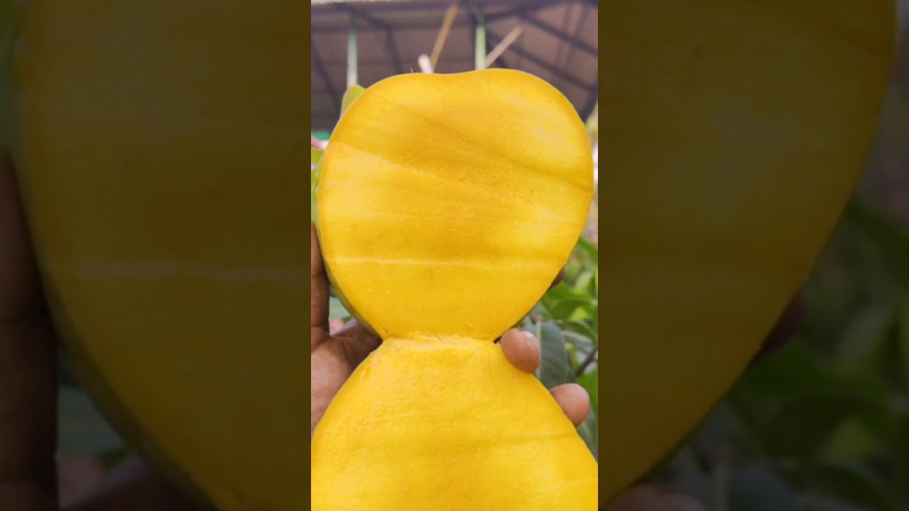 എനിക്ക് കിട്ടിയ R2E2 കഴിച്ചു നോക്കിയപ്പോൾ 😳