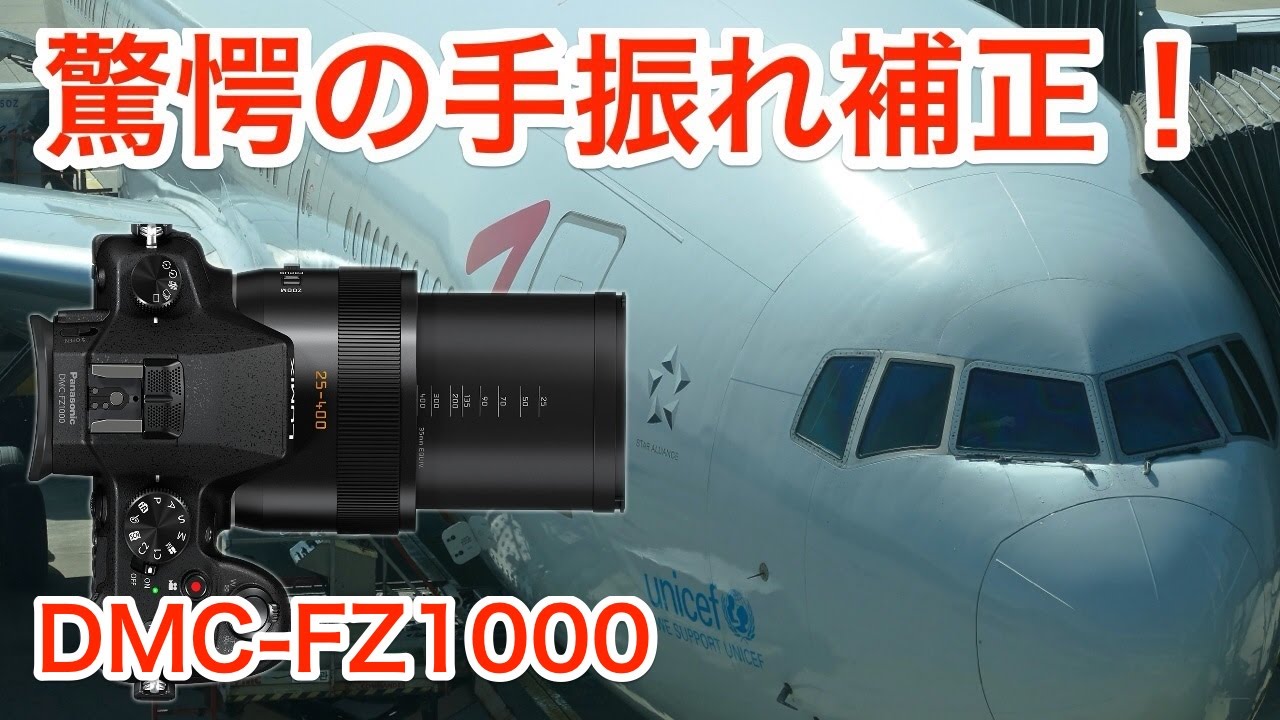 Panasonic LUMIX FZ1000】400mmを手持ちで撮れる!! 驚愕の5軸