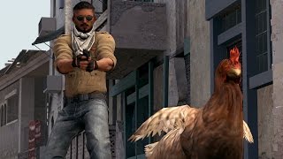 I Hate These Chickens - Csgo Sfm