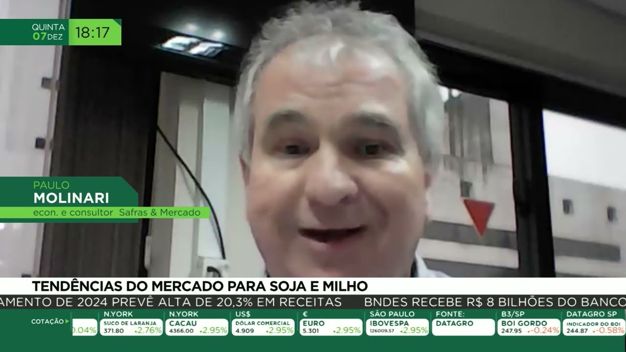 Tendências do mercado para soja e milho