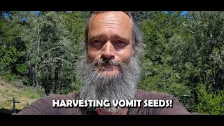 VOMIT SEED HARVEST!