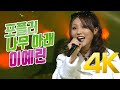 4K 이예린 포플러 나무 아래 1995 4K AI Upscaling 4K 이예린 포플러 나무 아래 1995 4K AI Upscaling