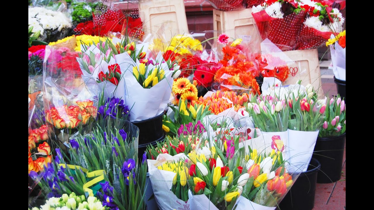 ♪世界に一つだけの花 / SMAP cover by UWASE ATSUYA YouTube ♪世界に一つだけの花 / SMAP cover by UWASE ATSUYA YouTube