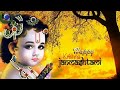 #Janamashtami Special🍁🍁🍁|| Whatsapp Status ||30 Second Whatsapp Status Video Download Free
