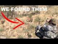 Hunting the Grey Ghost In New Mexico {We Found Them} Shots Fired