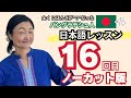 0初級者ロドシさんはどうなった？日本語レッスン16回目の成果｜日本語の教え方｜ちほみ先生にきいてみよう#015