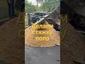 Как мы делали стяжку пола #ремонт #строительство #Москва #флиппинг