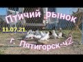 Голуби-Птичий рынок г Пятигорск-ч2Pigeons-Bird market, Pyatigorsk-ch2