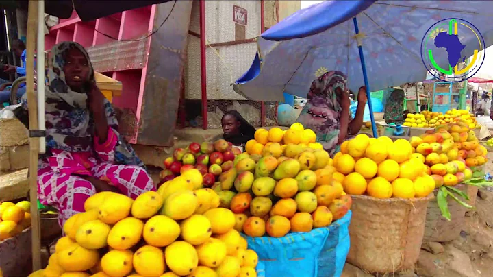 The short documentary about Nyala City.