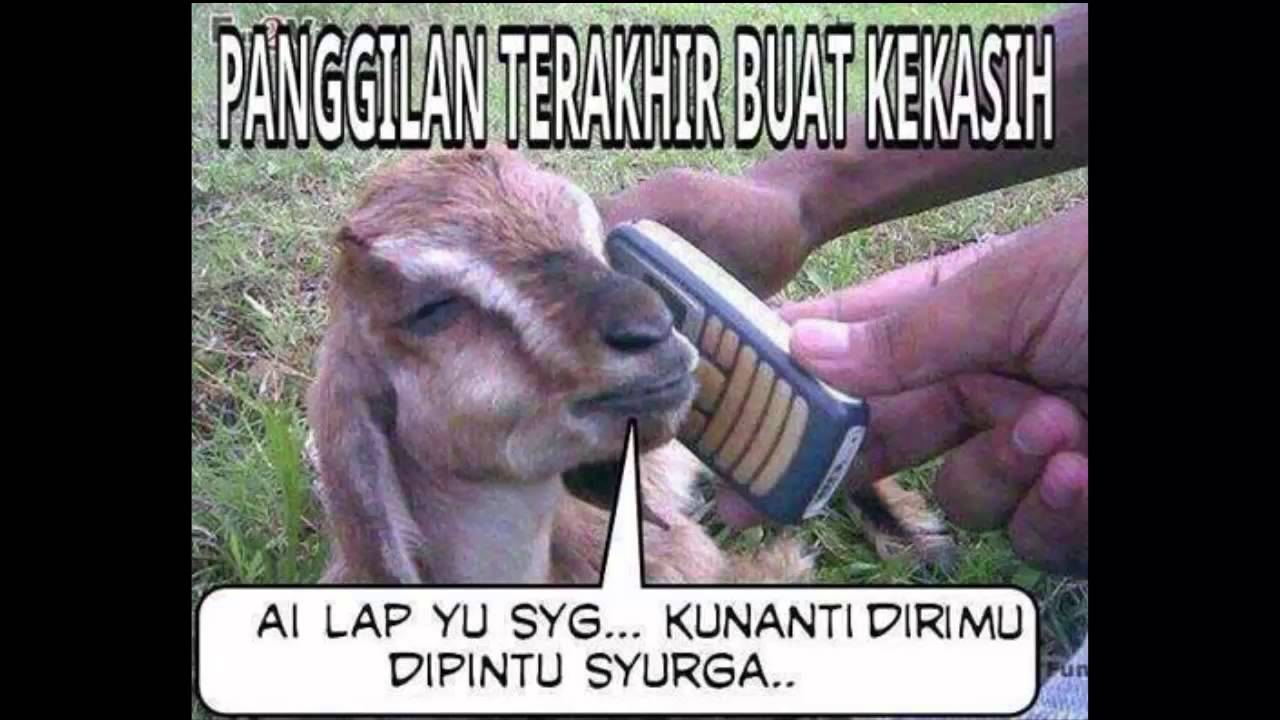 Gambar Meme Lucu Idul Qurban Keren Dan Terbaru DP BBM Lucu Kocak